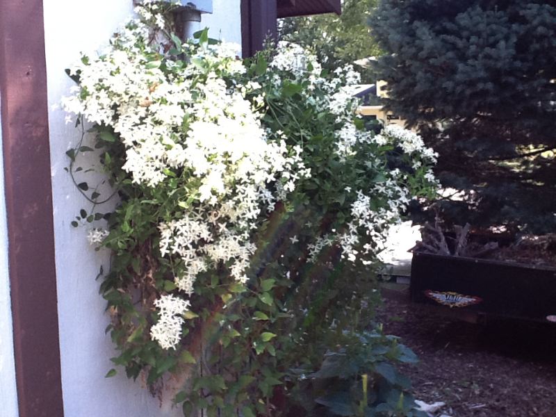 image9.jpg