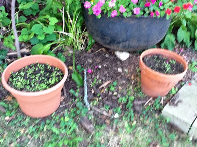 image9.jpg