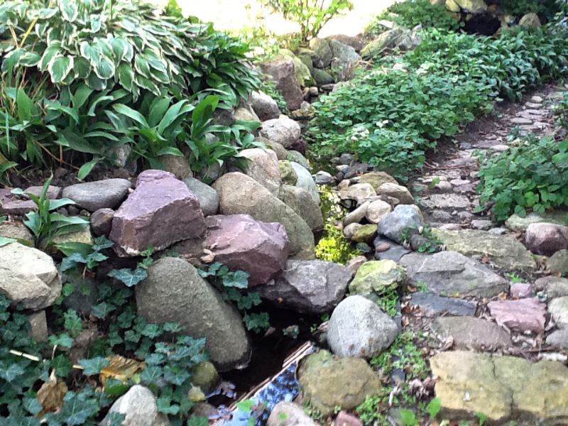 image9.jpg