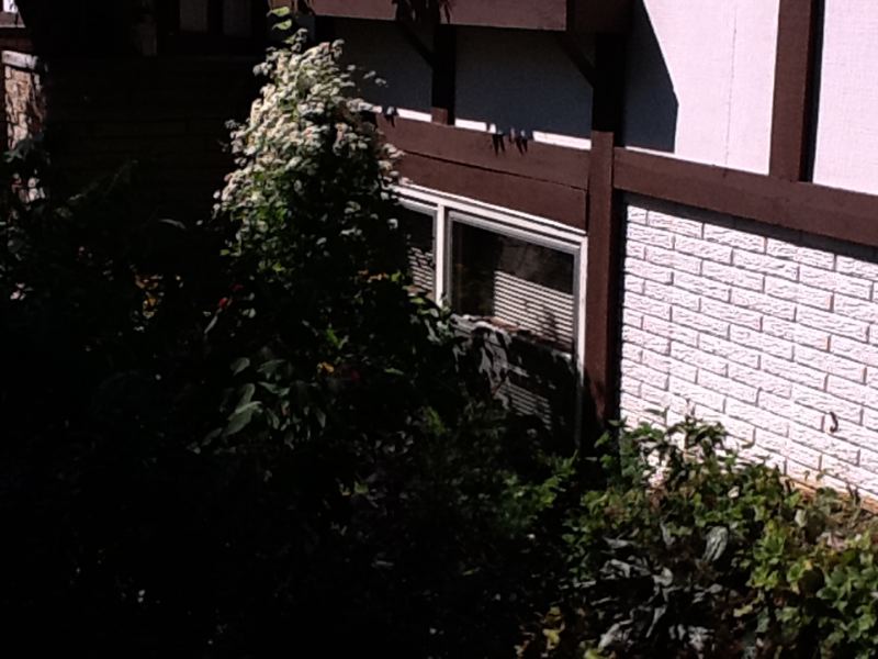 image9.jpg