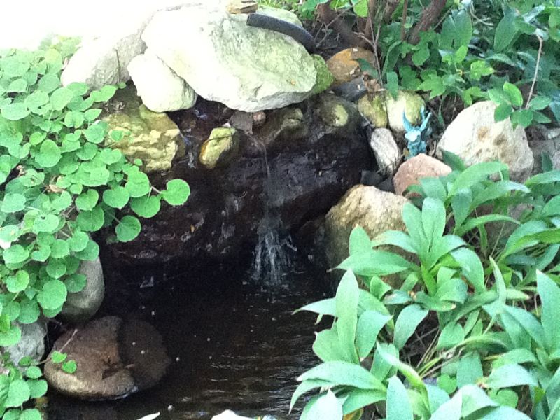 image9.jpg
