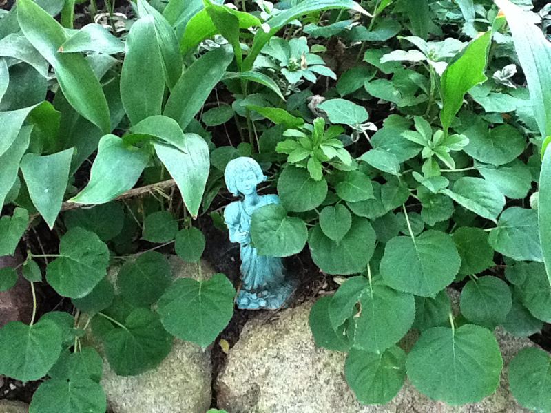 image9.jpg