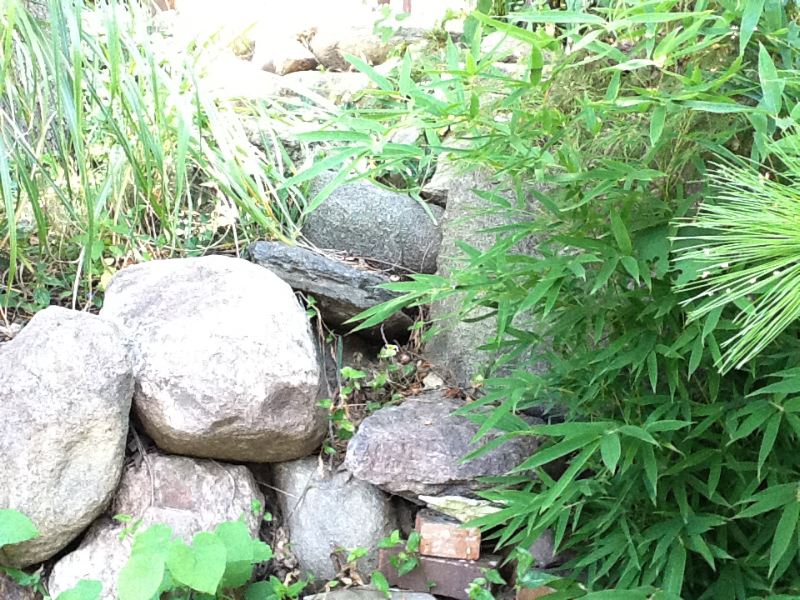 image9.jpg
