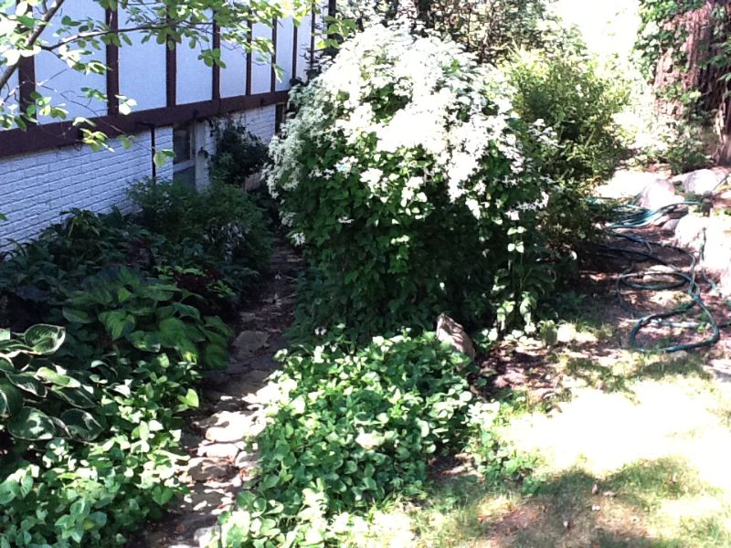 image9.jpg