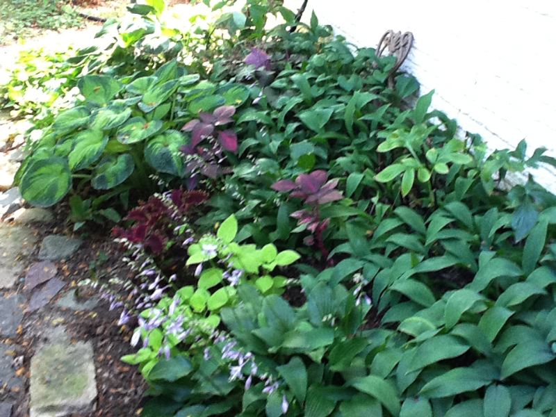 image9.jpg