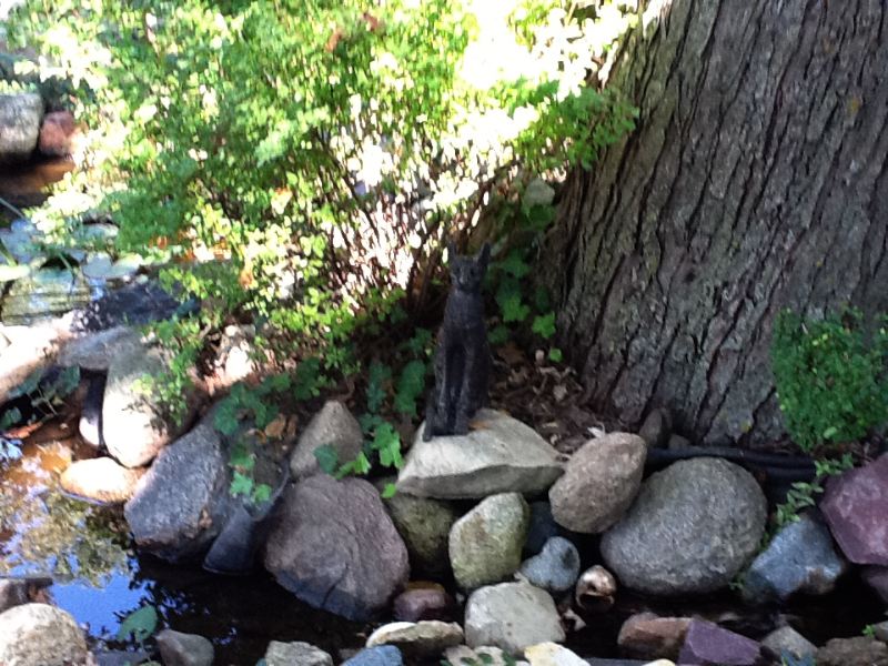 image9.jpg