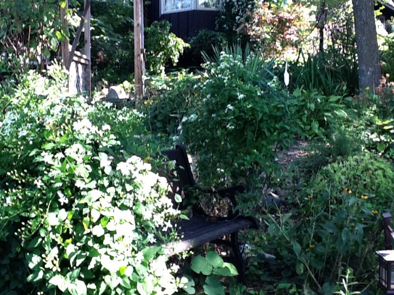 image9.jpg