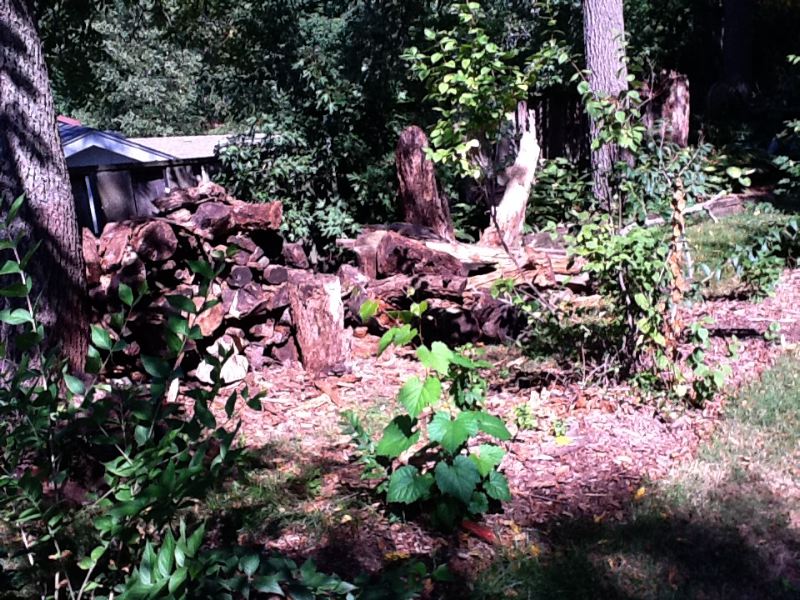 image9.jpg